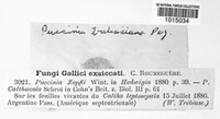 Puccinia calthicola image